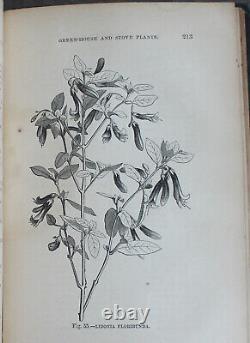 Rare Antique Old Book Florist Plants 1869 1st Illustrated Garden Nature Scarce