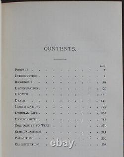 Rare Antique Old Book Natural Law In The Spirit World 1888 Occult Eternal Life