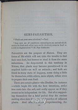 Rare Antique Old Book Natural Law In The Spirit World 1888 Occult Eternal Life