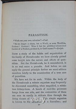 Rare Antique Old Book Natural Law In The Spirit World 1888 Occult Eternal Life