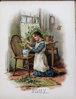 Rare Antique Old Book Queen of the Meadow 1890 1st Edition Illustrated Children