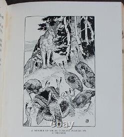 Rare Antique Old Book Red Indian Fairy Tales 1917 Illustrated Native Americans