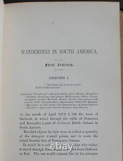 Rare Antique Old Book South America 1891 Illustrated Vampire Bats Indians Poison