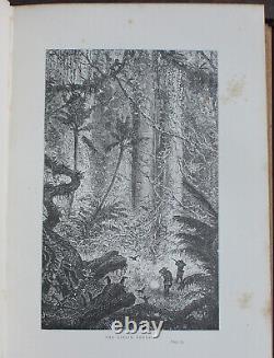 Rare Antique Old Book South America 1891 Illustrated Vampire Bats Indians Poison