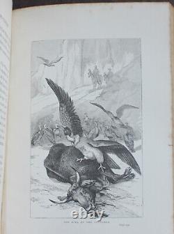 Rare Antique Old Book South America 1891 Illustrated Vampire Bats Indians Poison