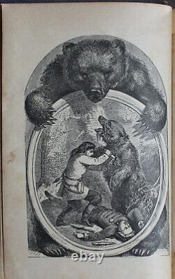 Rare Antique Old Book The Grand Bear Hunt 1859 Illustrated Polar Sun Sloth +