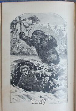 Rare Antique Old Book The Grand Bear Hunt 1859 Illustrated Polar Sun Sloth +