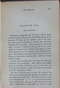 Rare Antique Old Book The Grand Bear Hunt 1859 Illustrated Polar Sun Sloth +