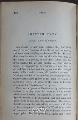 Rare Antique Old Book The Grand Bear Hunt 1859 Illustrated Polar Sun Sloth +