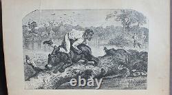 Rare Antique Old Book The Grand Bear Hunt 1859 Illustrated Polar Sun Sloth +