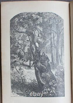 Rare Antique Old Book The Grand Bear Hunt 1859 Illustrated Polar Sun Sloth +