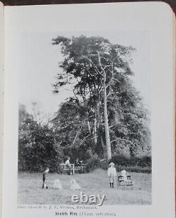 Rare Antique Old Book Wild Fruits Countryside 1907 Illustrated Nature Plants