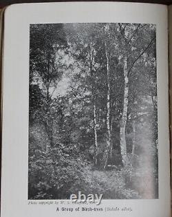 Rare Antique Old Book Wild Fruits Countryside 1907 Illustrated Nature Plants