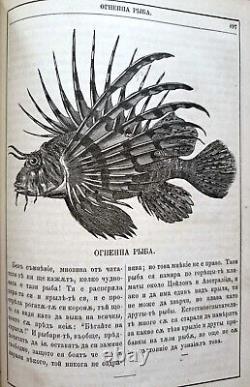 Rare Antique Original Book Ottoman Empire/bulgaria 1874-1881/carigrad 1882
