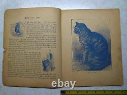 Rare Antique Tug of War Stories of Dogs & Cats Published by Routledge Book