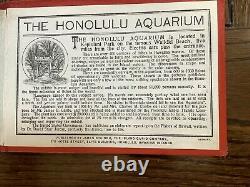 Rare Antique Vintage Honolulu Aquarium Hawaiian Fishes Hawaii Book James Steiner
