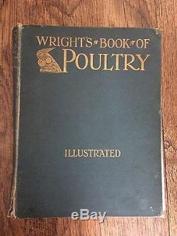Rare Antique Wrights Book of Poultry by S H Lewer Illustrated 1911