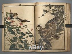 Rare Book Keinen Kacho Gafu Birds & Flowers Antique Japanese Woodblock Prints