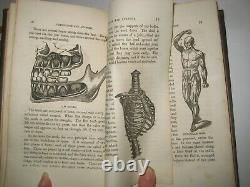 Rare Indian Physician Botanical Herbs Homeopathy Medicine Hunting Antique Book