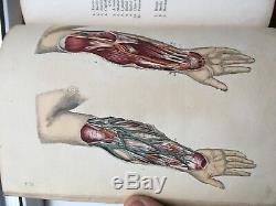 Rare Victorian Medical Book Maclises Surgical Anatomy 1857 with 36 Colour Plates