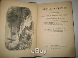 Rare Victorian Science Bible Geology Dinosaurs Evolution Fossils Primeval Ma