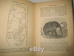 Rare Victorian Science Bible Geology Dinosaurs Evolution Fossils Primeval Ma