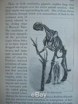 Rare Victorian Science Bible Geology Dinosaurs Evolution Fossils Primeval Man