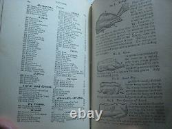 Rarevictorian Cookbook Beauty Hints Health Home Remedies Homeopathy Farm Guide