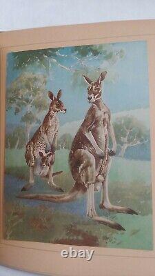 Sunny Australia Antique Book Mounted Nature Illustrated Birchland Jones RARE