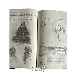 Super Rare Antique 1800s Peterson's Magazine Book