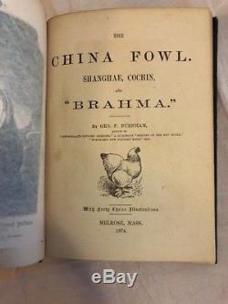 The China Fowl Burnham 1st Ed Rare 1874 Antique Poultry Farming Book Chicken