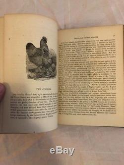 The China Fowl Burnham 1st Ed Rare 1874 Antique Poultry Farming Book Chicken