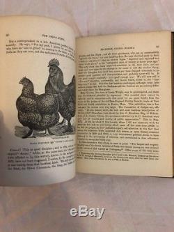 The China Fowl Burnham 1st Ed Rare 1874 Antique Poultry Farming Book Chicken