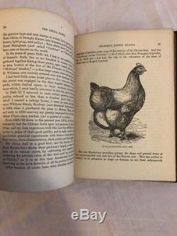 The China Fowl Burnham 1st Ed Rare 1874 Antique Poultry Farming Book Chicken