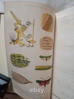 The Microscope By Mrs Mary Ward Illustrated Antique Circa 1870 Very Rare Book