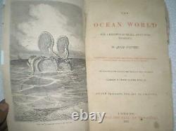 The Ocean World Sea Inhabitants Illustration Rare Antique Book London 1869