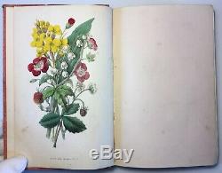 The Wild Flowers Of England, First Series, 1859 Antique, Illustrated Rare Book
