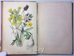 The Wild Flowers Of England, First Series, 1859 Antique, Illustrated Rare Book