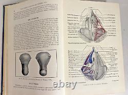 VG+ Williams Obstetrics Henricus Stander 1941 Antique Medical Book OBGYN RARE