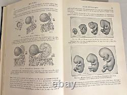 VG+ Williams Obstetrics Henricus Stander 1941 Antique Medical Book OBGYN RARE