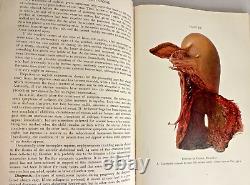 VG+ Williams Obstetrics Henricus Stander 1941 Antique Medical Book OBGYN RARE