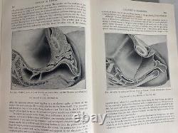 VG+ Williams Obstetrics Henricus Stander 1941 Antique Medical Book OBGYN RARE