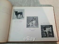 Very Rare Antique Pug Book dated 1902