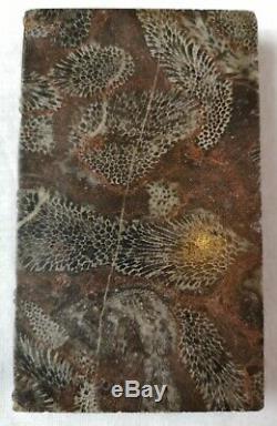 Very rare 19thC Carved Fossil Mable Book Paperweight