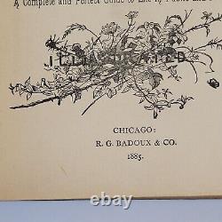 Vintage Antique 1885 The Home Instructor Book of Common Sense RARE Great Read