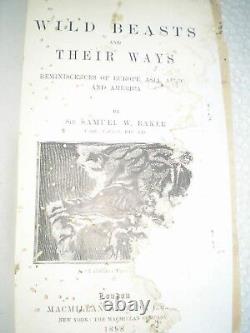 WILD BEASTS THEIR WAYS europe asia america RARE ANTIQUE BOOK 1898