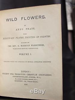 WILD FLOWERS 96 Color Plates FINE BINDING Leather Set PRINTS Antique Books RARE