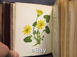 WILD FLOWERS 96 Color Plates FINE BINDING Leather Set PRINTS Antique Books RARE