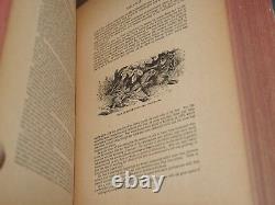 Woods Natural History ANTIQUE Book, RARE First American Edition HC Engraved
